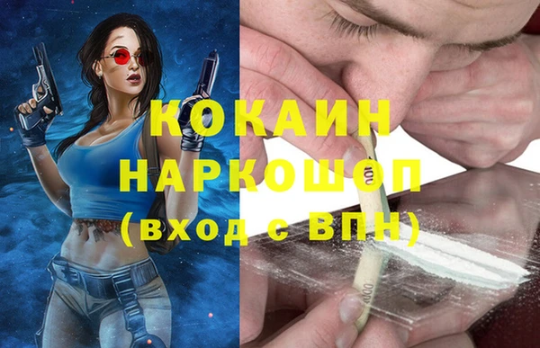 кокс Алексин