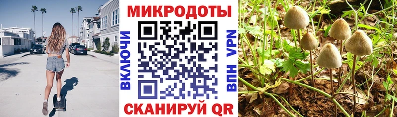 Галлюциногенные грибы мицелий  где найти наркотики  Инза 